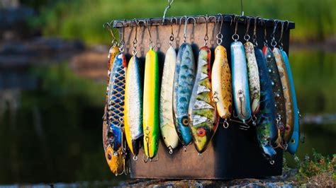 TOP 13 Best Trout Lures In 2023 - Fishing Sensei