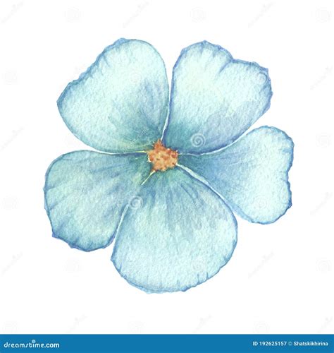 Watercolor Blue Flower Illustration. Blue Linen Flower. Forger-me-not ...