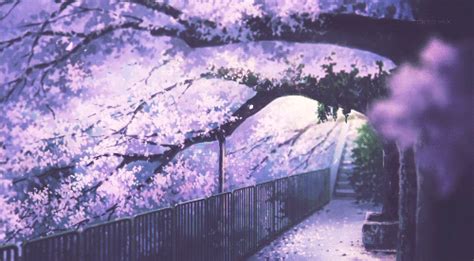 Animation over Reality | Anime scenery, Scenery, Anime cherry blossom