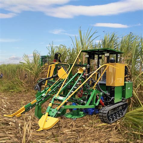 Sugar Cane Sugarcane Harvest Cutting Machine Harvester - China ...