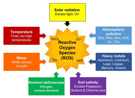 Environmental constraints and oxidative stress in plants - Encyclopedia ...