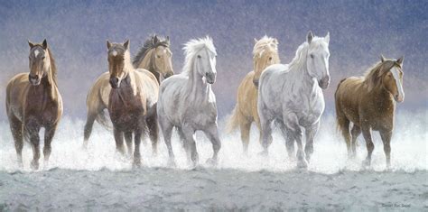 7 Horse Wallpaper 4k