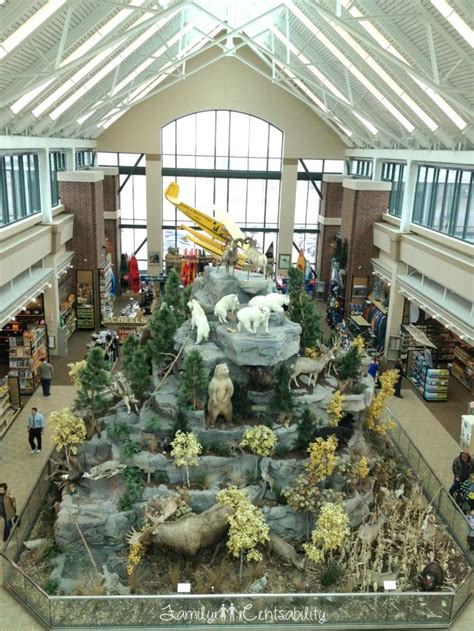 Central Illinois Kid Activities: Scheels in Springfield, IL ...