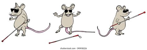 Three Blind Mice Royalty-Free Images, Stock Photos & Pictures ...