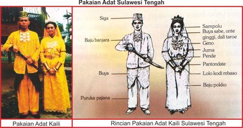 Gambar Rumah Adat Sulawesi Tengah Beserta Penjelasannya – pulp