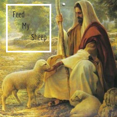 Feed My Sheep (4-16-17) – Calvary Chapel – Troy