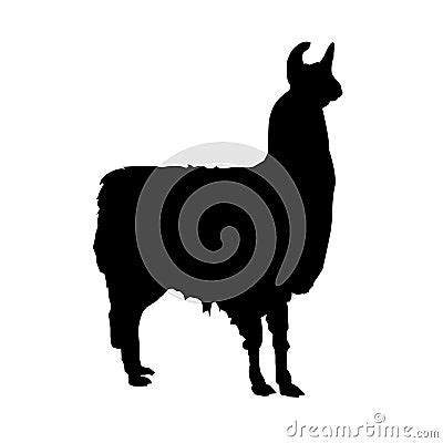 Llama Vector Silhouette Stock Images - Image: 10044254