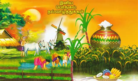 Happy Pongal Festival Tamil Wishes Greetings Hd Desktop - Pongal ...