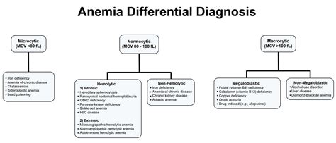 Normocytic Anemia - Causes, Signs and symptoms, Treatment