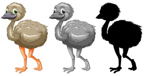 Set of emu character 432978 Vector Art at Vecteezy