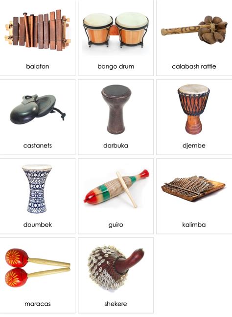 Musical Instruments Africa | AMI Digital