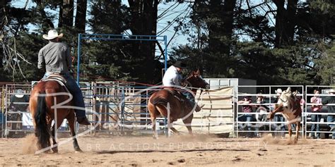 Neerim APRA Rodeo 2019 - Highlights BR Action Photography