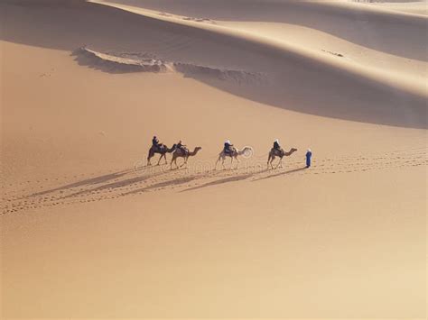 Camel ride through desert stock photo. Image of sandy - 133867106