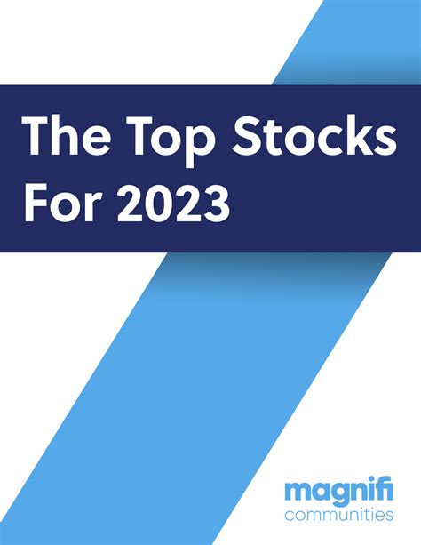 The Top Stocks of 2023