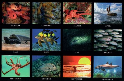 2023 Hawaii Fishing Calendar Tide Moon Wandkalender