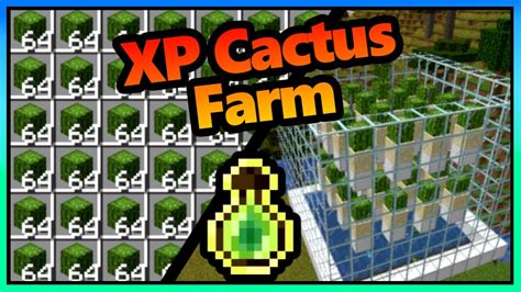 Cactus XP Farm Minecraft | Super Easy | 1.20 - 1.21+ - YouTube