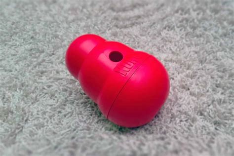 Kong Wobbler Review - Chew Test