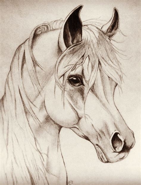 Horse Head Drawing Easy at GetDrawings | Free download