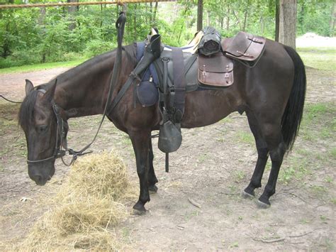 Union Cavalry in Pitzer's Woods at Gettysburg