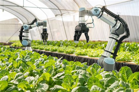 UK agriculture and robotics receive £12.5 million funding