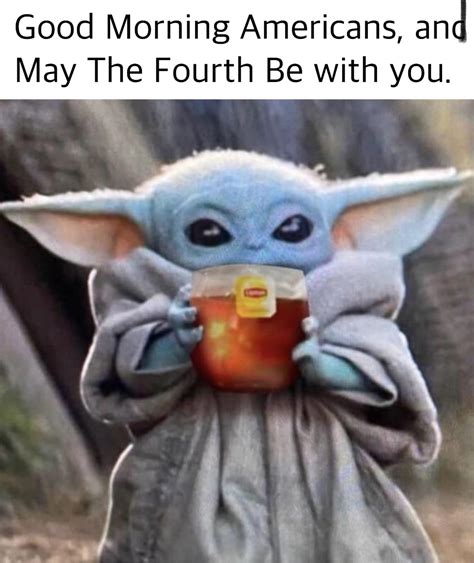 Happy Star Wars Day! : r/memes