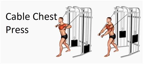 Cable Chest Press: Technique, Benefits, and Alternatives for Upper Body ...