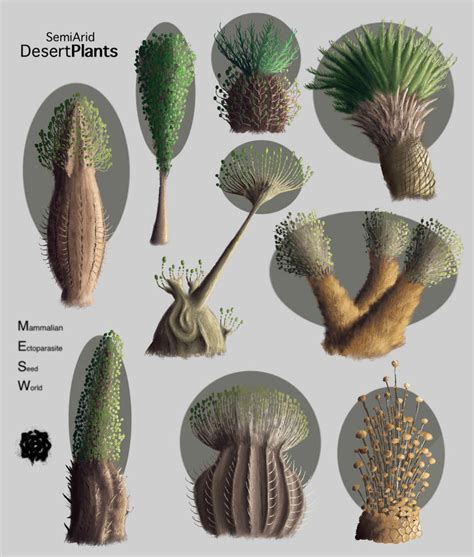 Semi-Arid Desert Plants - MESW by twistingdepths on DeviantArt