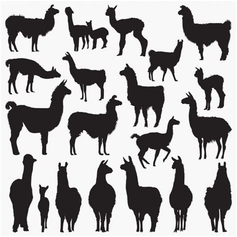 Llama Silhouette Vector at Vectorified.com | Collection of Llama ...