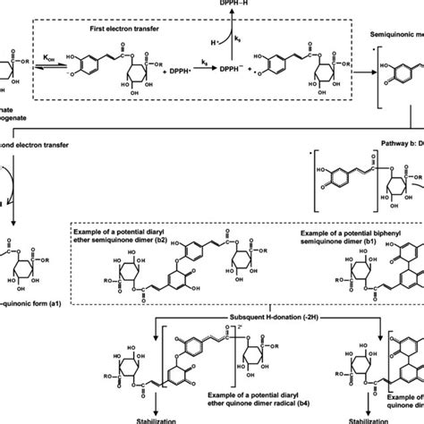 (PDF) Kinetic and Stoichiometry of the Reaction of Chlorogenic Acid and ...