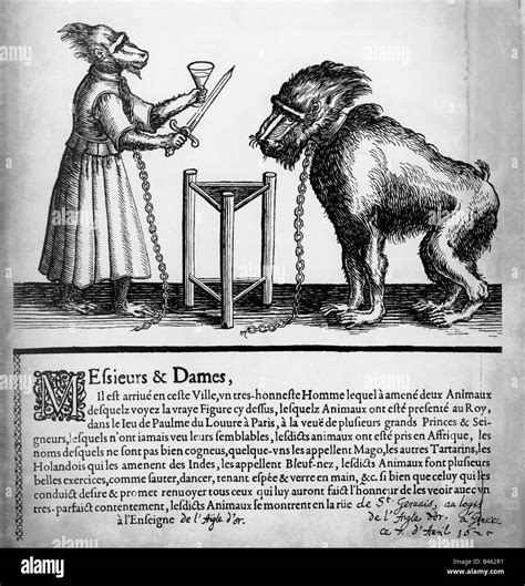 circus, animal training, announcement of a act with tho apes, woodcut ...