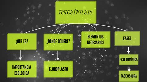 BOTÁNICA-MAPA CONCEPTUAL FOTOSÍNTESIS by ANA CAROLINA CHIPANA MOLLINEDO ...