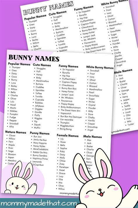 Bunny Names (The Best Rabbit Names Ever!)