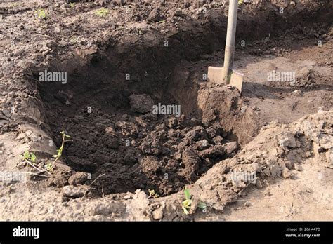 Dig into the sand hi-res stock photography and images - Alamy