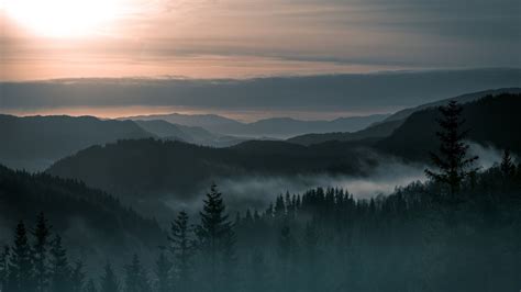 nature, Landscape, Trees, Forest, Pine Trees, Mountain, Norway, Mist ...