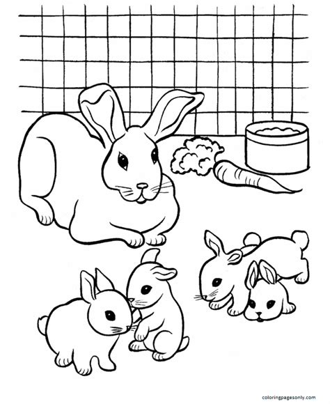 Bunny Coloring Pages - Free Printable Coloring Pages