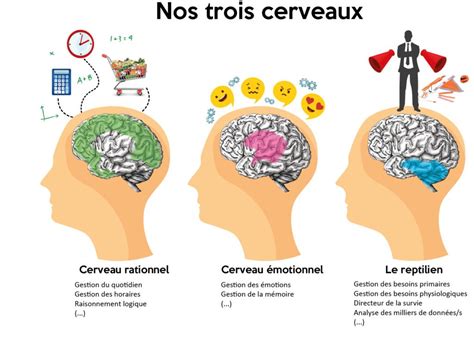 Principe et conseils d'utilisation - Outils Océans