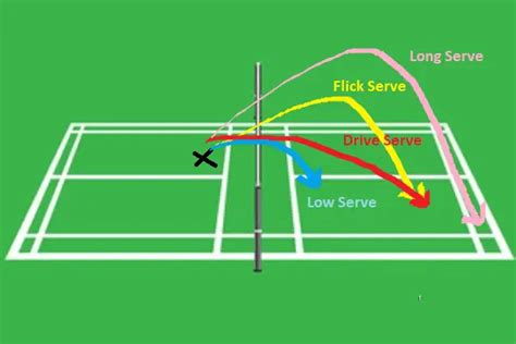 Types of Badminton Shots: The Complete Guide – Badminton Fanatiker