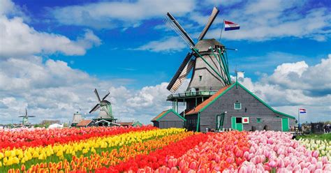 Dutch windmills | Attractions & sightseeing in the Netherlands