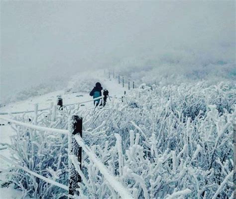 South Korea winter festivals — Top 3 winter festival in Korea you must ...