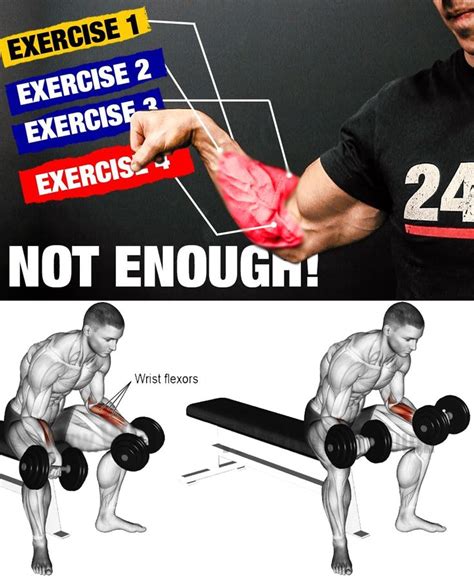 Training Forearms | Forearm workout, Core workout routine, Exercise