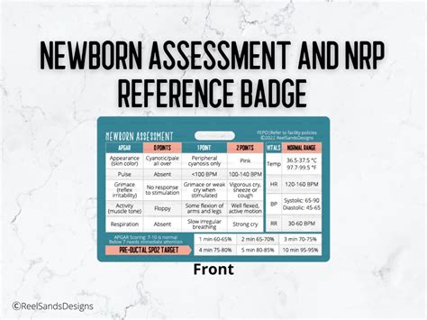 Newborn Assessment NRP Quick Reference Badge Buddy Card - Etsy