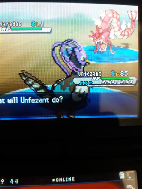 [5] Shiny Level 1 Gyarados in Nature Reserve in White 2 after 15645 RE ...