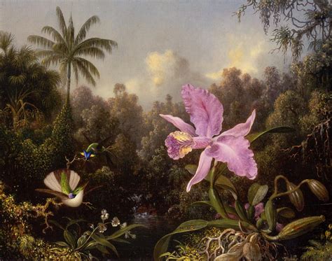 TROPICALIZER: Martin Johnson Heade // Orchids and Hummingbirds