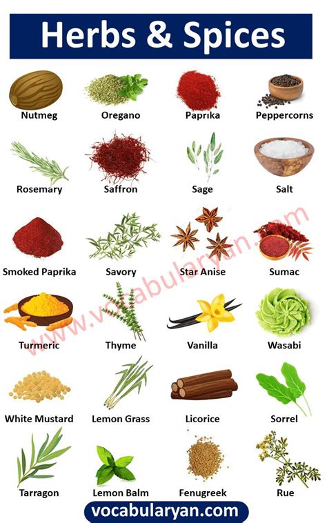 List of Herbs and Spices Vocabulary with Images in 2023 | Spices, Herbs ...