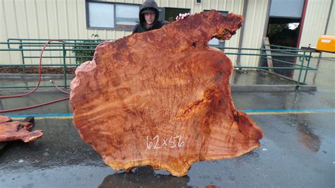 Redwood Burl Slabs | Unique Redwood Pieces | Redwood Burl Inc.