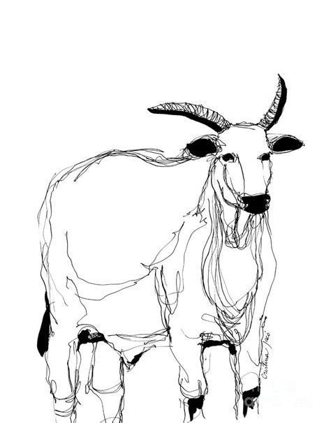 Ox - Drawing Skill