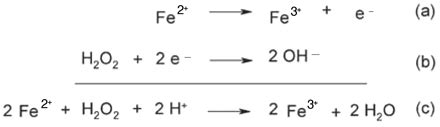 1 Redox system: oxidation of ferrous to ferric ion (a); reduction of ...