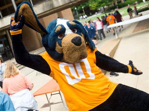 University of Tennessee Smokey mascot through the years