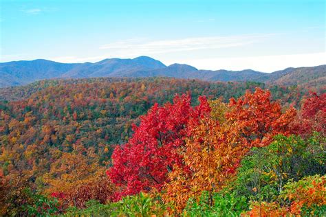 The 7 Best Places For Fall Foliage On The Blue Ridge Parkway