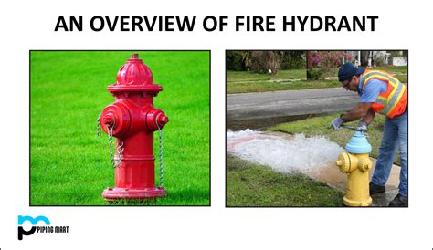 An overview of Fire Hydrant - ThePipingMart Blog